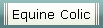 Equine Colic