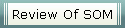 Review Of SOM
