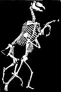 horse bones