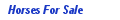 link to horses for sale page