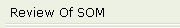 Review Of SOM