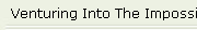 Venturing Into The Impossible