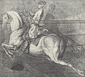 horse  artistic
