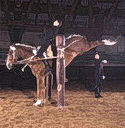 horses airs above the ground