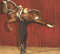 horse leaping