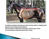 What is the science of motion CD books