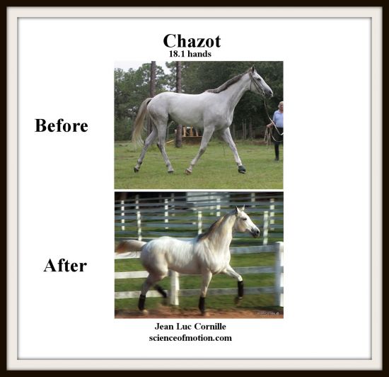 Chazot Before and After