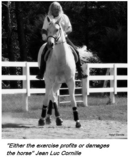"Either the exercise profits or damages the horse" Jean Luc Cornille