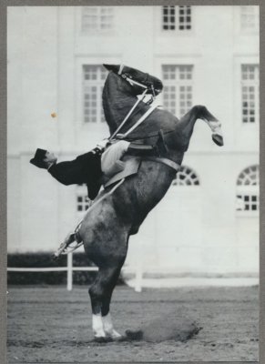 cadre noir saumur,national horse school