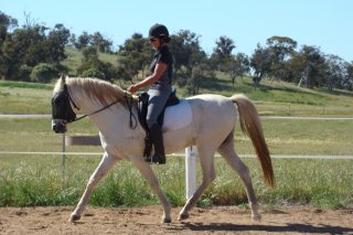 in hand dressage course