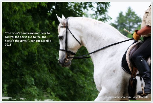 in hand dressage course