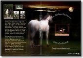 horse training books