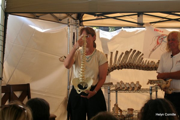 1-1-IMG_8907 1-1-IMG_8907