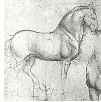 Da vinci horse