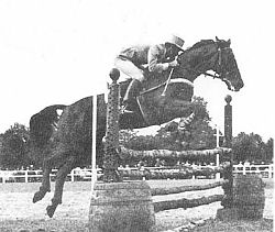jean luc cornille jumping horse