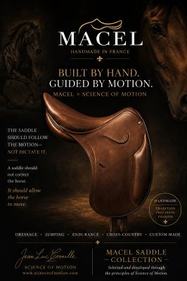 macelsaddle-art-height-6000px